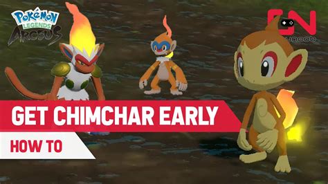 chimchar|how to get chimchar in legends arceus.